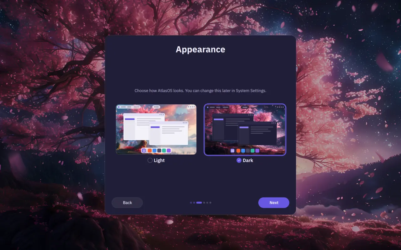 The first-run setup's Appearance page in Dark, choosing between Light and Dark, with a preview of each.